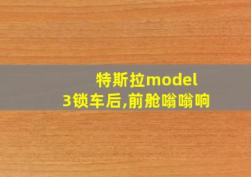 特斯拉model 3锁车后,前舱嗡嗡响